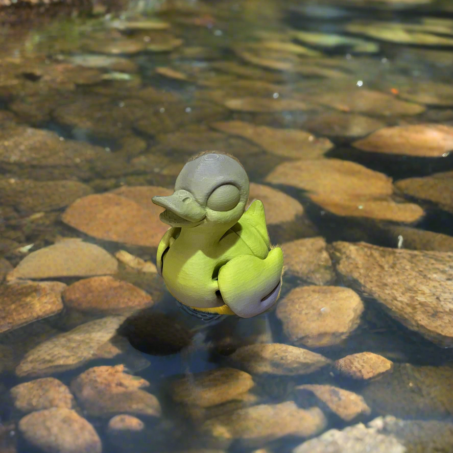 Tiny Duck