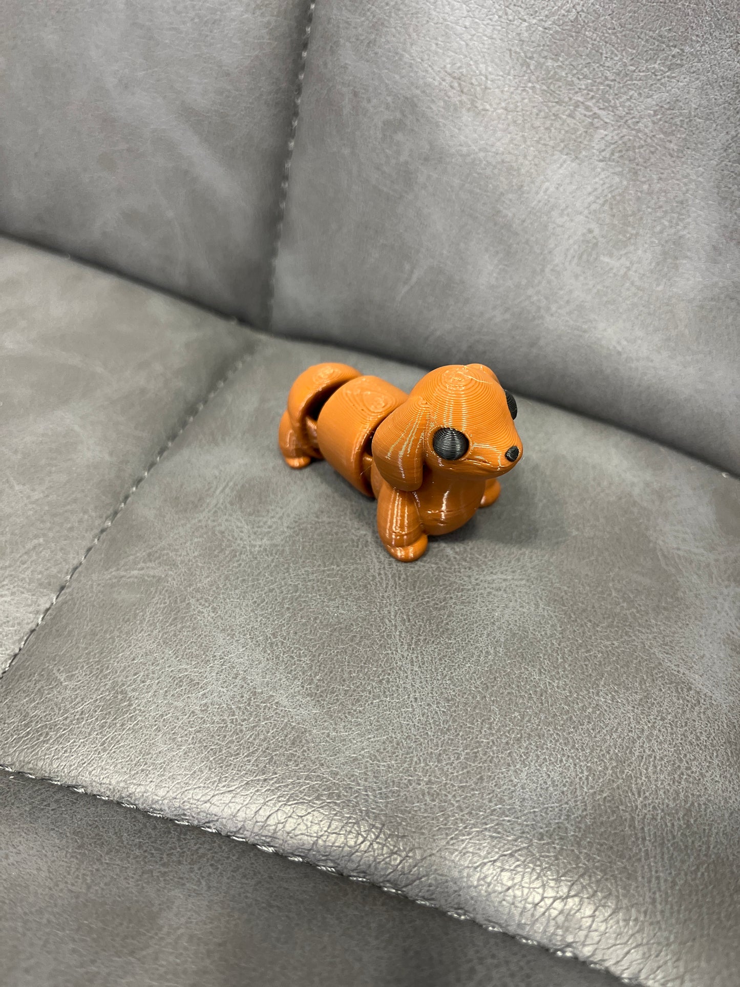 Dachshund