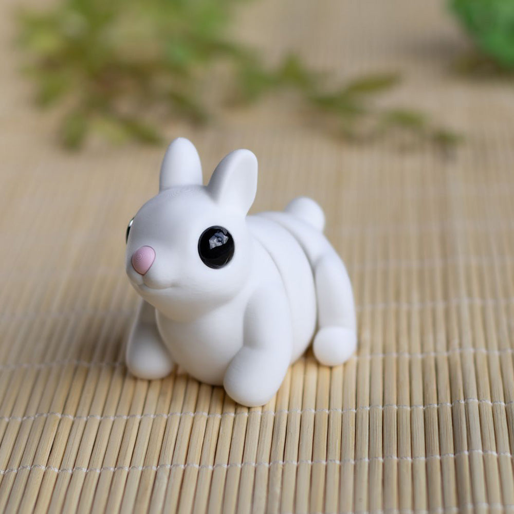 Baby Bunny