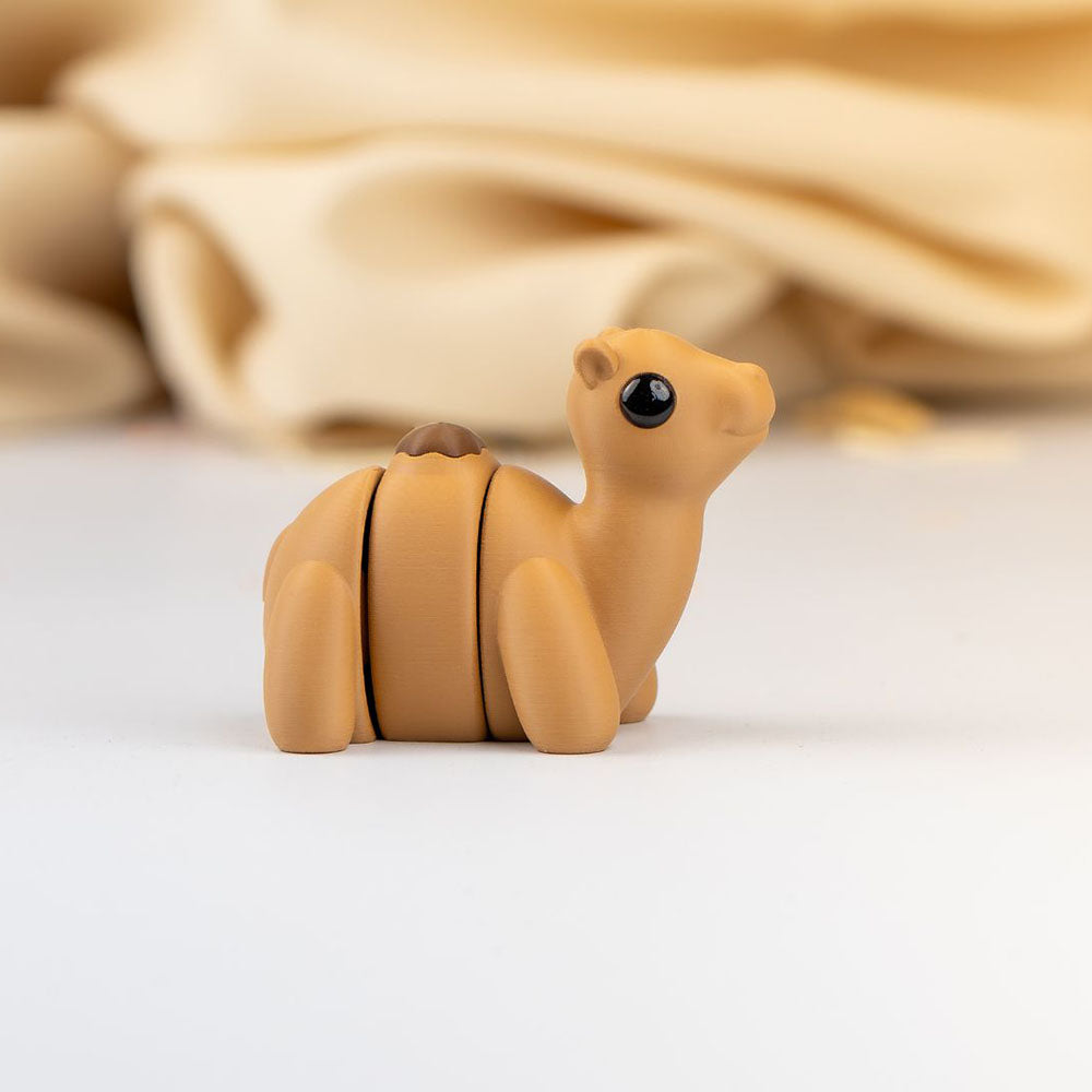 Baby Camel