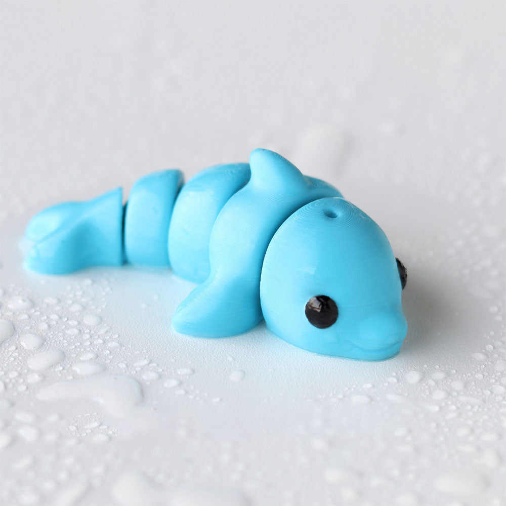Baby Dolphin