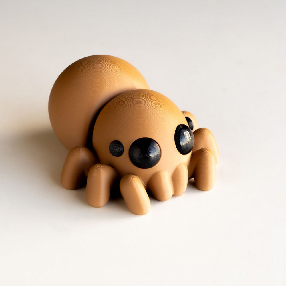 Baby Spider