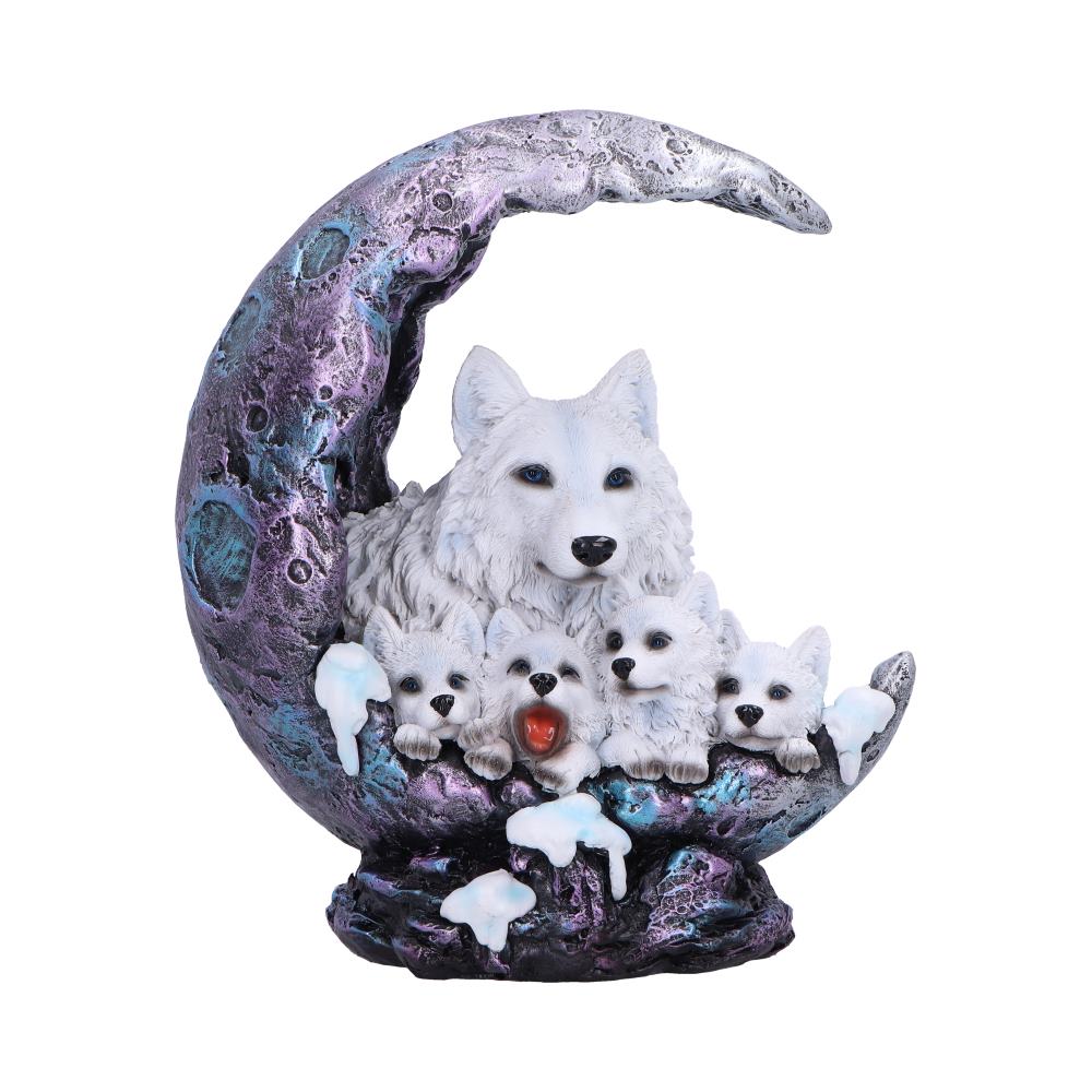 Winter Moon 20cm