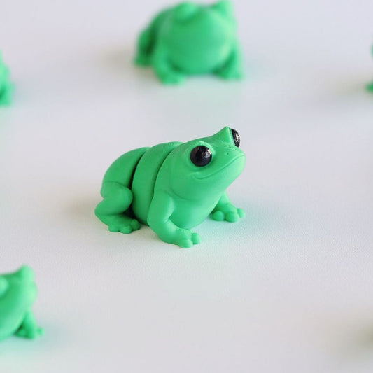 Baby Frog