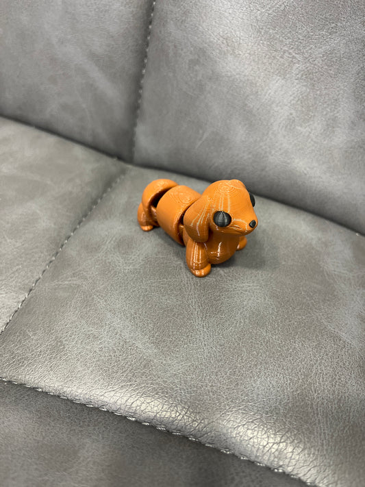 Dachshund