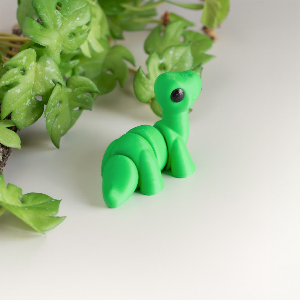 Baby Brontosaurus