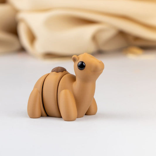 Baby Camel