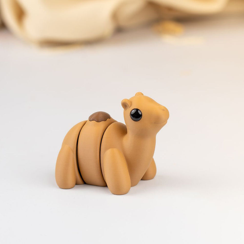 Baby Camel