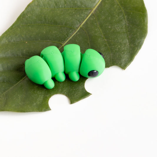 Baby Caterpillar