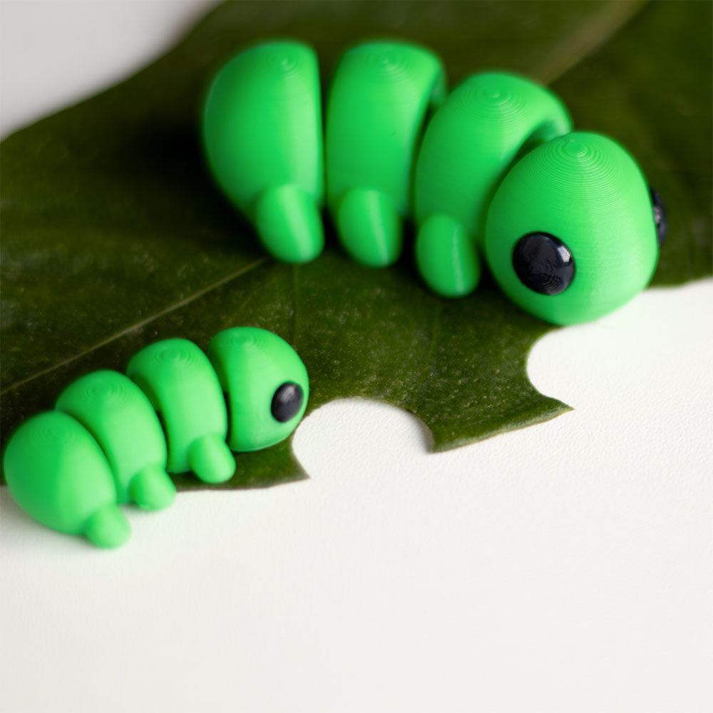 Baby Caterpillar