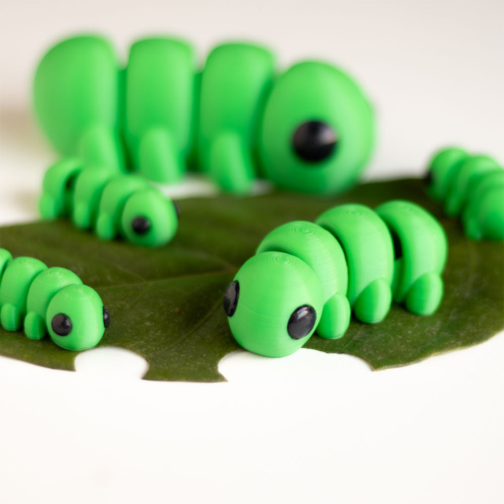 Baby Caterpillar