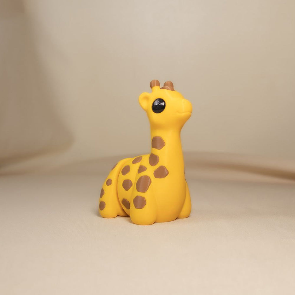 Baby Giraffe