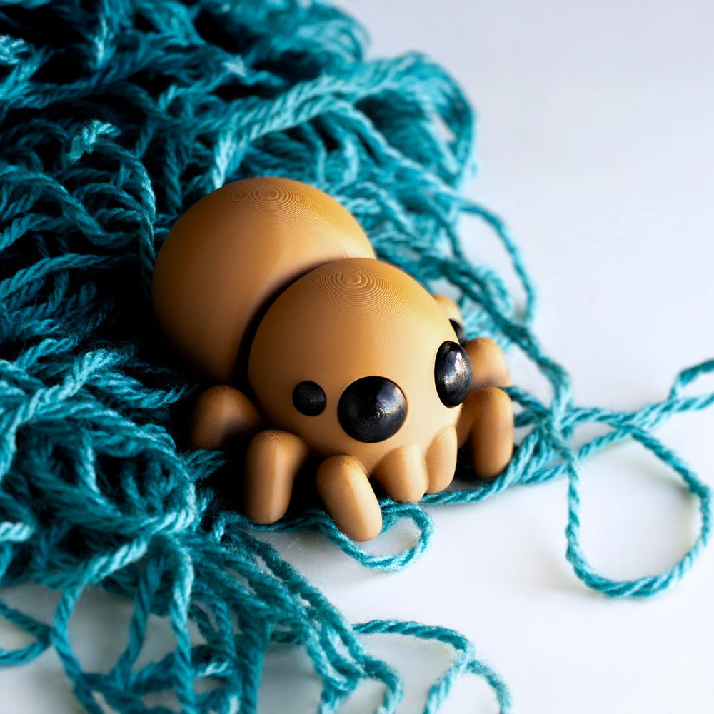 Baby Spider