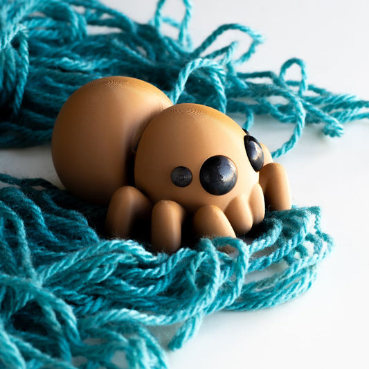 Baby Spider