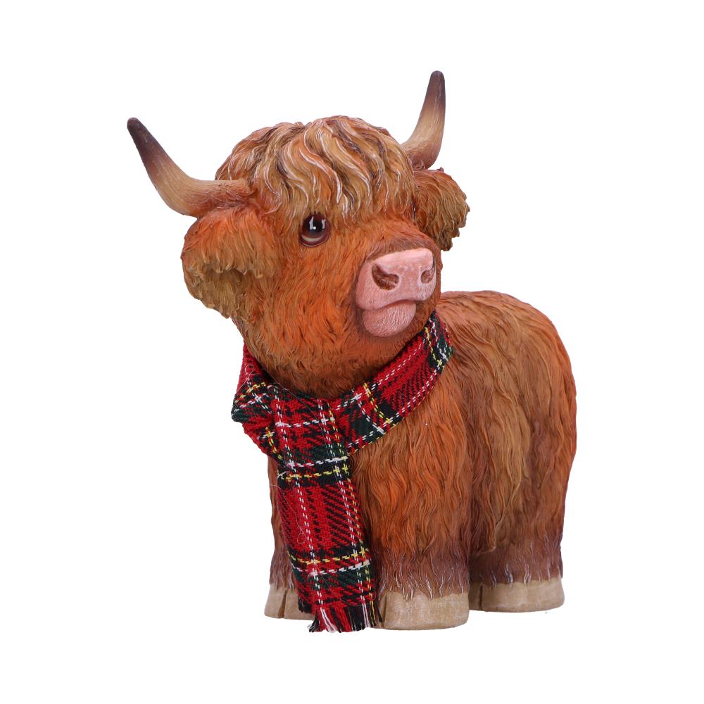 Highland Snug