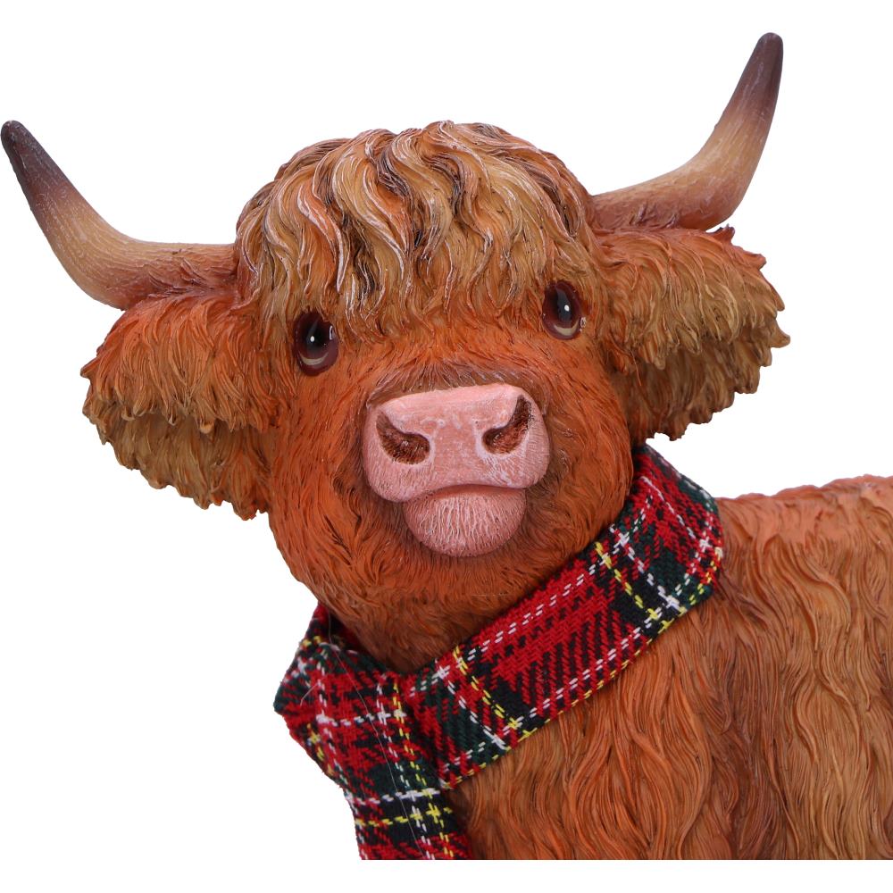 Highland Snug